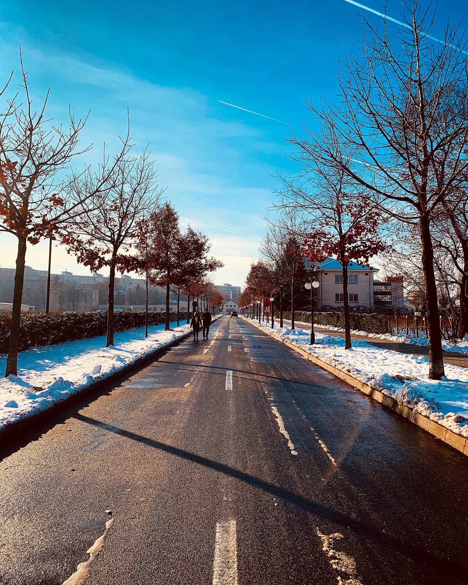 a road with trees and snow on it